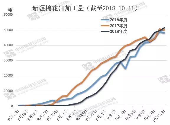 今日棉籽价格行情解析