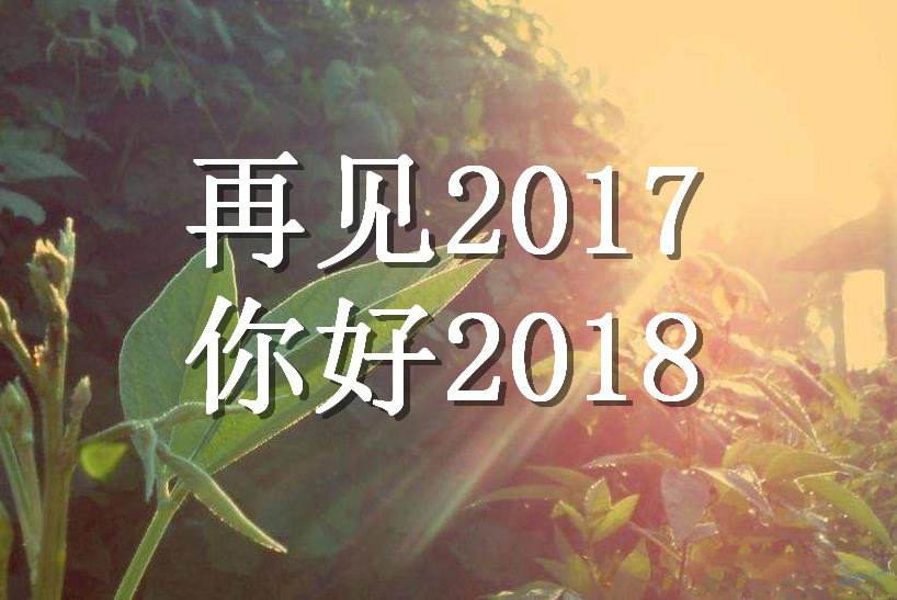 探索语言之美，最新句子概览（2017年）