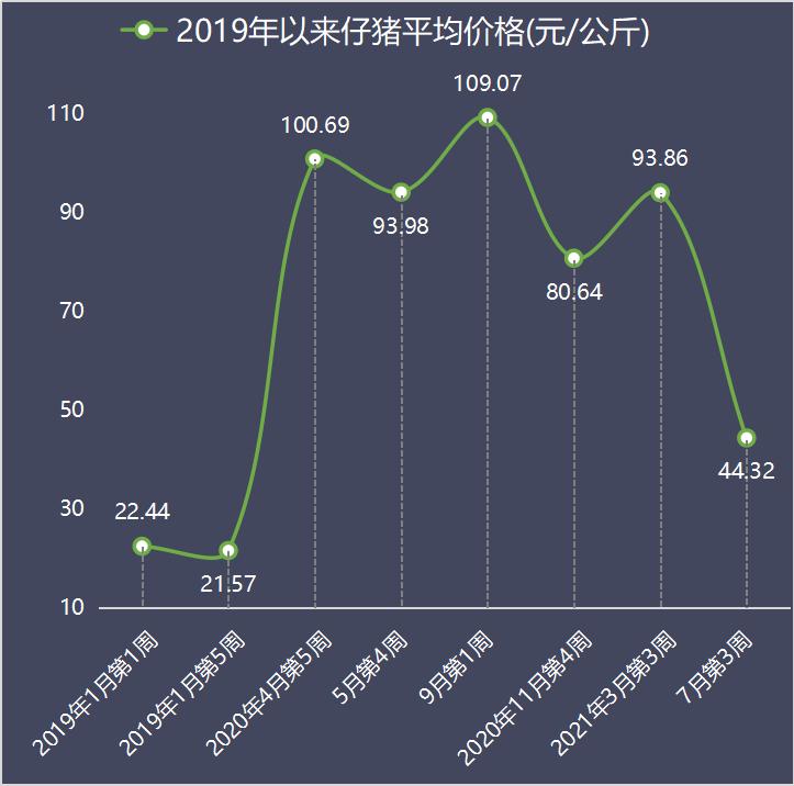 最新仔猪价格动态及其对养殖业的影响分析