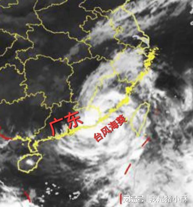 台风最新动态，五号台风路径更新与应对之策