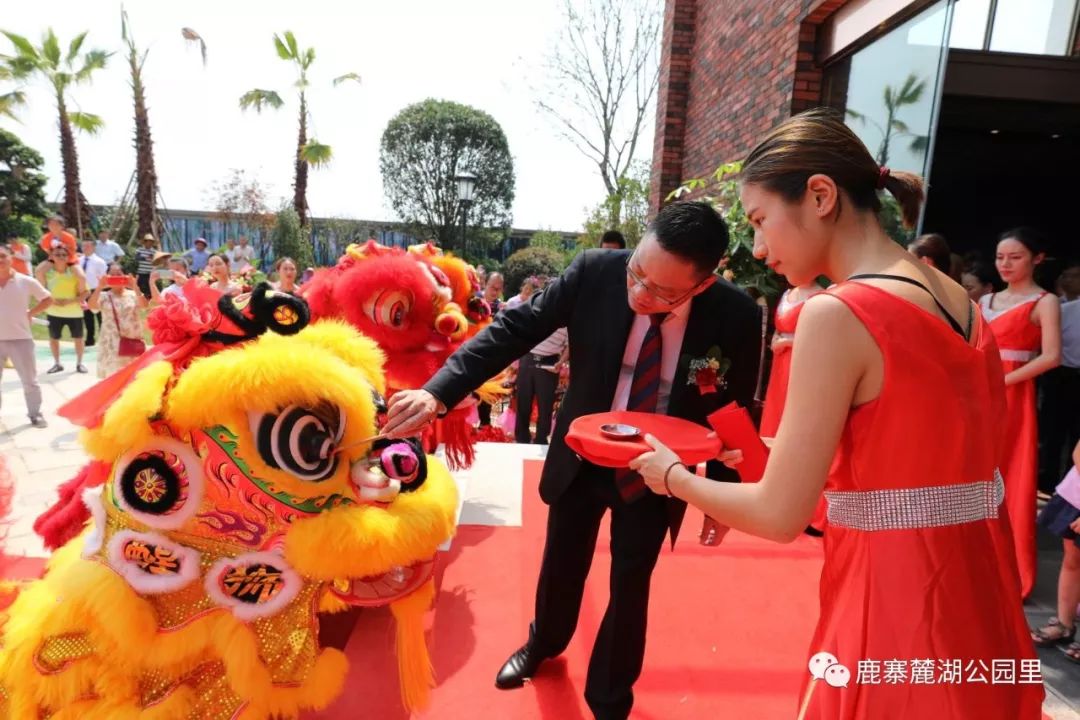 鹿寨县剧团新项目，传承与创新融合，展现鹿寨文化魅力