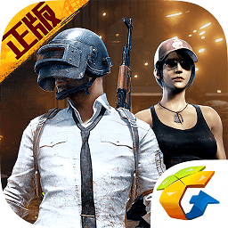 PUBG国际服最新版，全新体验与独特魅力揭秘