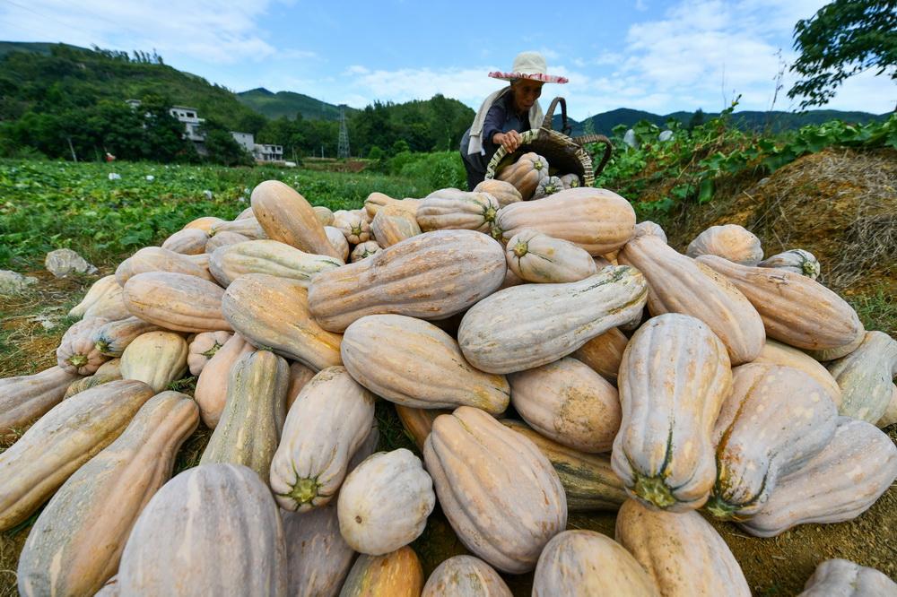 新时代财富探索之路，最新致富经揭秘