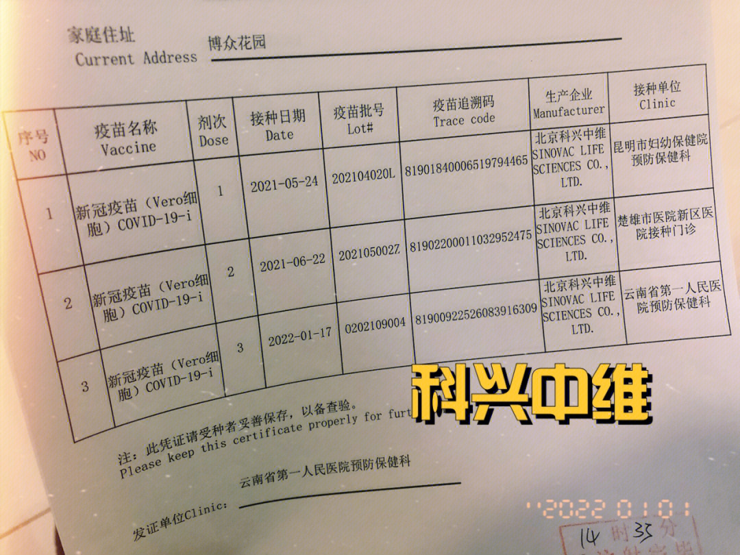 科兴疫苗赔偿方案最新动态深度解析