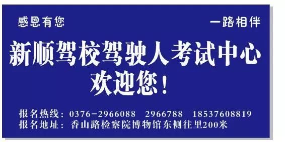 新县招聘网最新招聘动态深度解读与分析