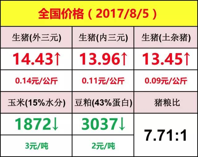 今日生猪价格动态分析与展望