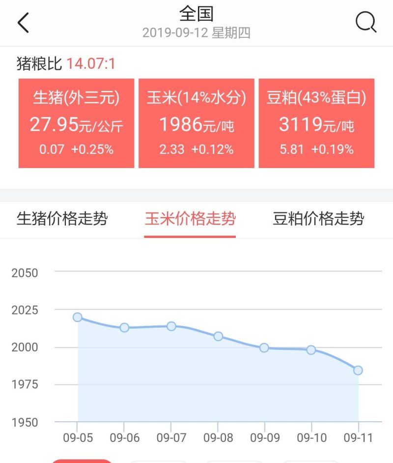 今日玉米价格走势分析，最新动态与趋势展望