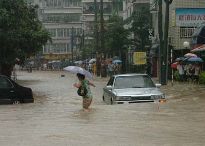 福建暴雨最新消息及其广泛影响