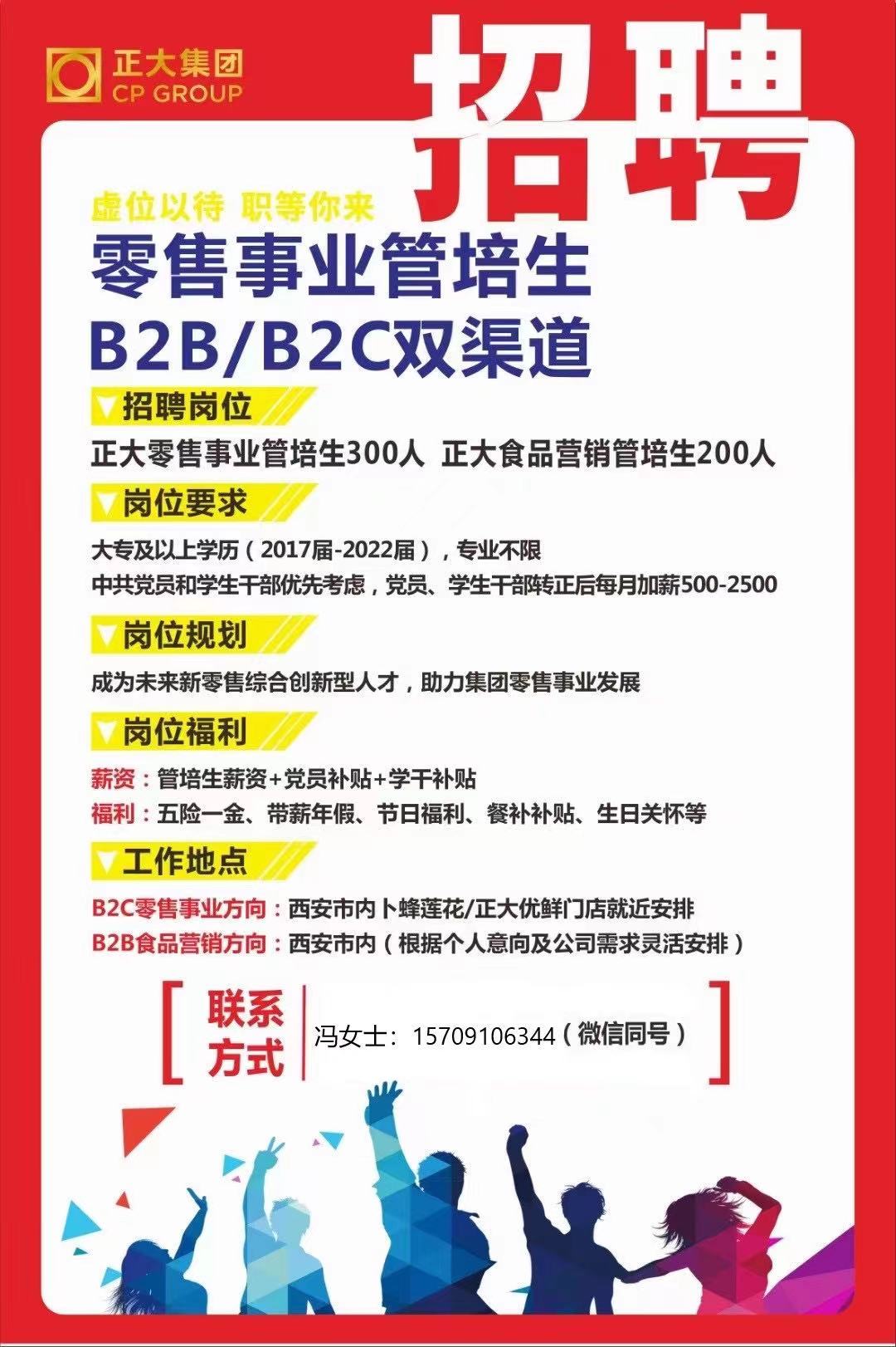 公司最新招聘信息与职位空缺全面解析