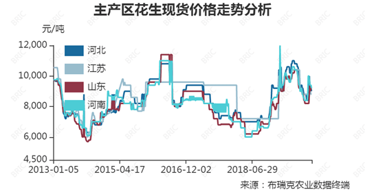 花生价格最新走势解析