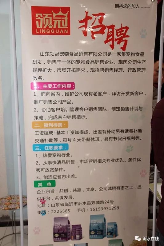 沂水招聘网最新招聘动态深度解读