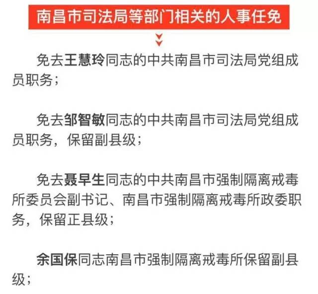 田家庵区科技局人事任命新动态，未来展望与战略部署