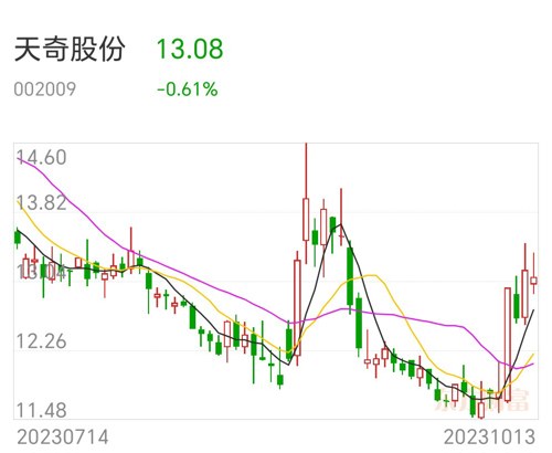 2024年12月12日 第11页