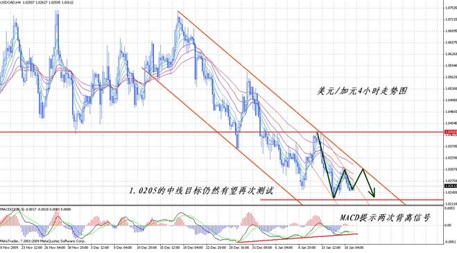 外汇市场最新行情概览，趋势、影响及未来展望