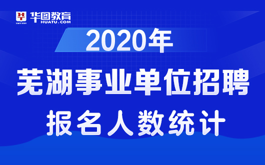 芜湖招聘网最新招聘动态深度解析与解读