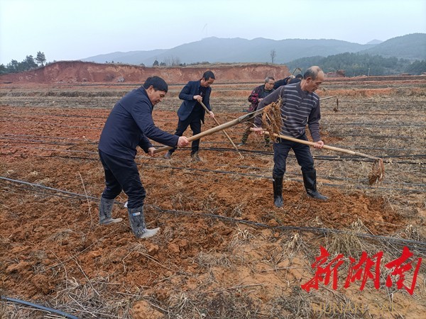 衡南县原种场交通新闻更新