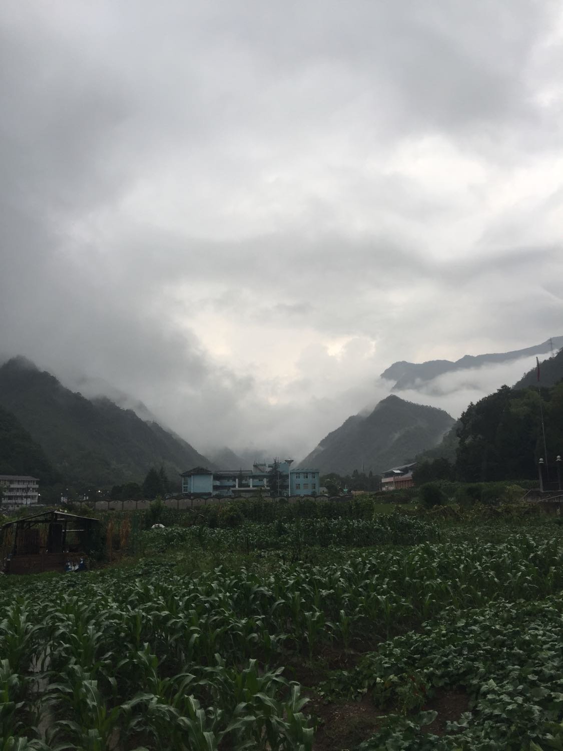 雷坝乡天气预报更新通知