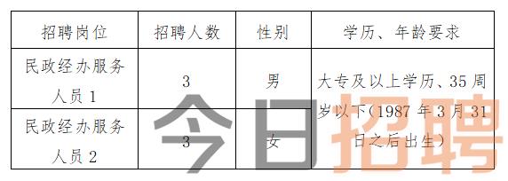 四族乡最新招聘信息全面解析