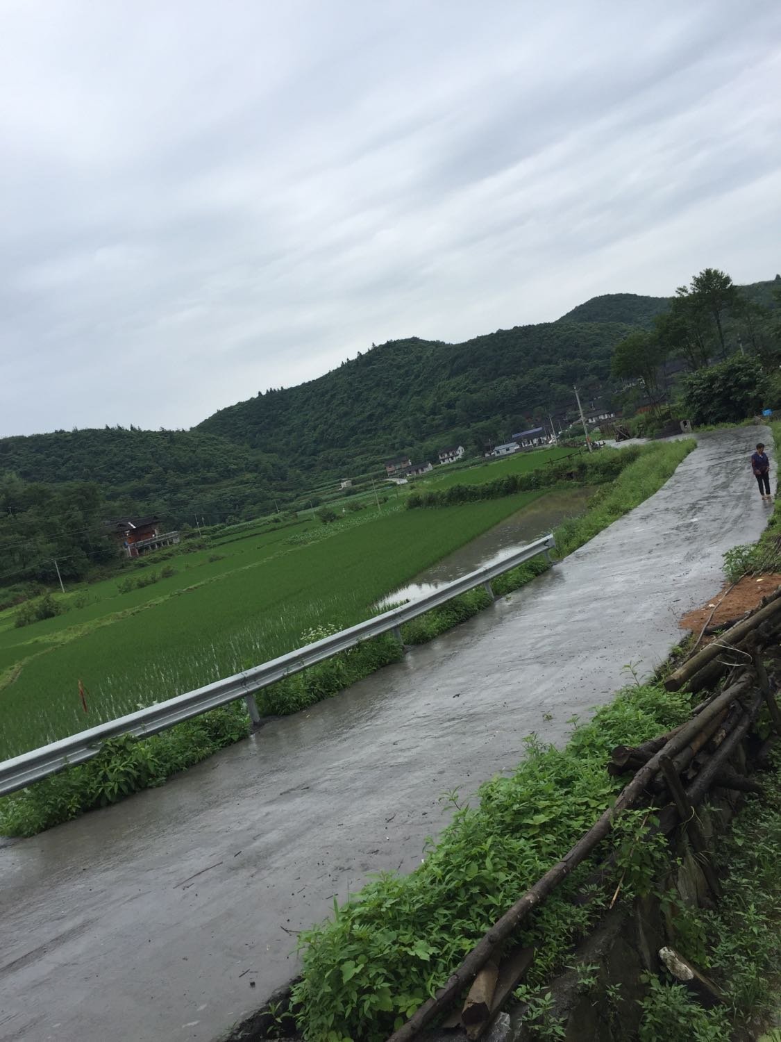 龙田乡天气预报更新通知