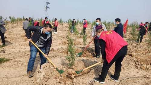 灵宝市人民政府办公室领导团队介绍