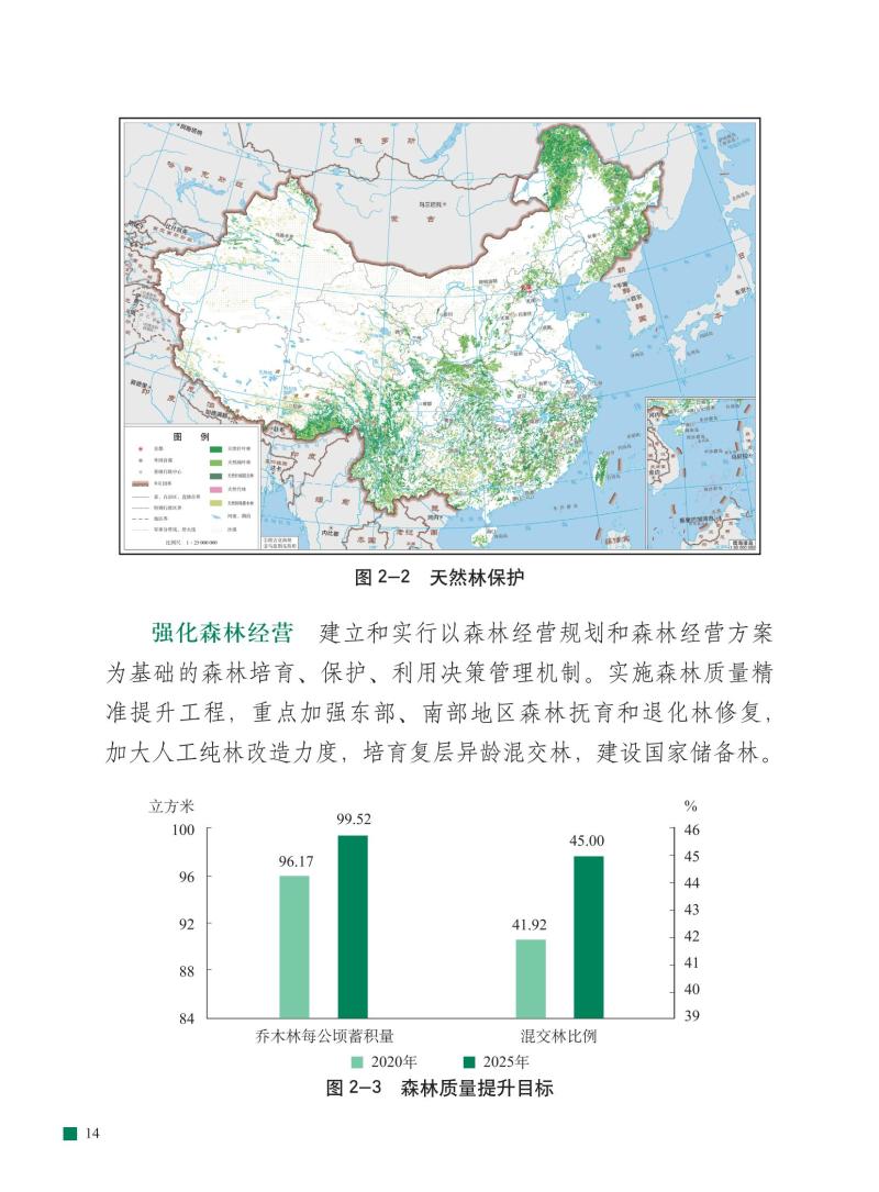 安特林业有限公司未来发展规划概览