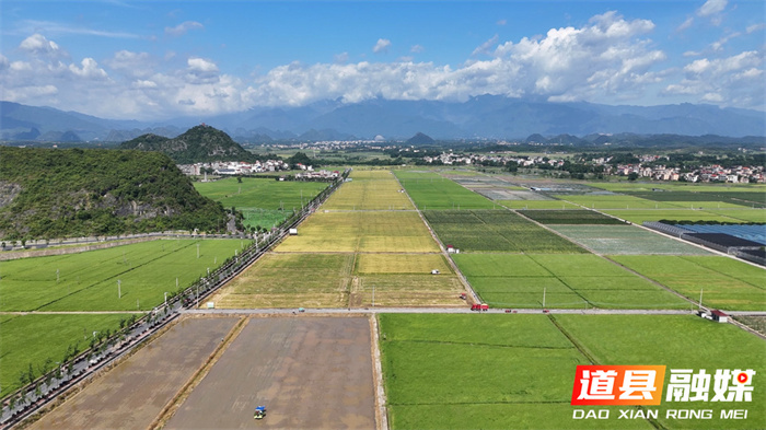 道县大坪铺农场最新交通动态报道