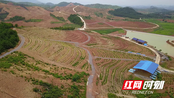 江洲瑶族乡新项目，地区发展的强大引擎力量