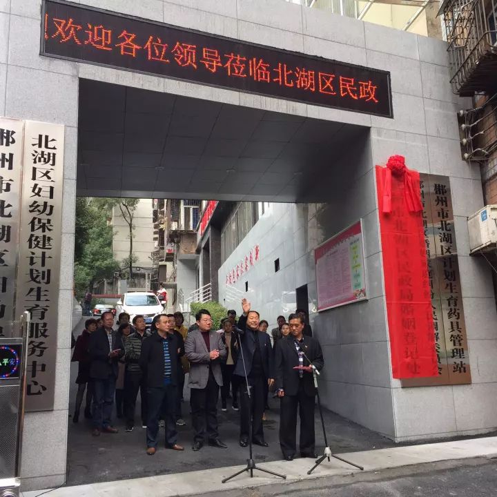 北湖区人民政府办公室最新发展规划概览