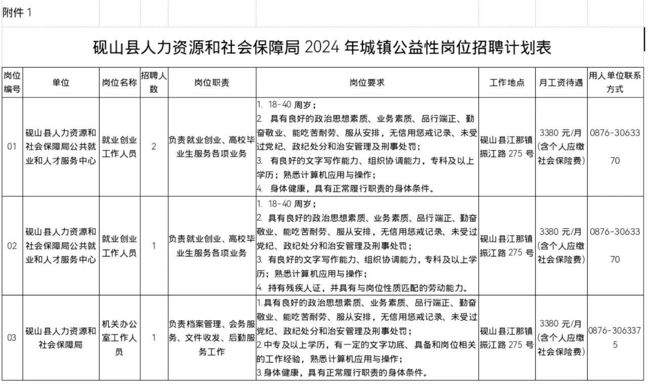 保山市市规划管理局最新招聘信息全面解析