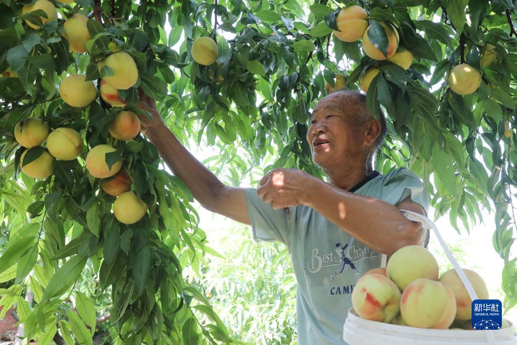 阎里乡交通新闻，迈向现代化交通的崭新步伐