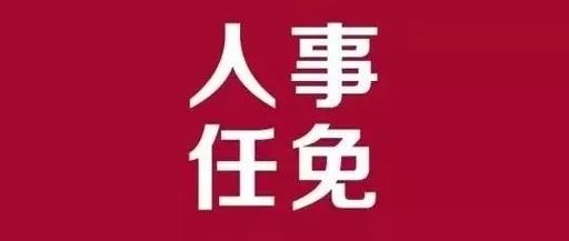 渭城区审计局最新人事任命，塑造未来审计领域的崭新篇章