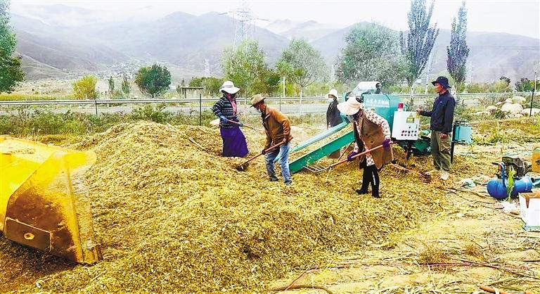 茶巴拉村新项目启动，乡村振兴新篇章开启