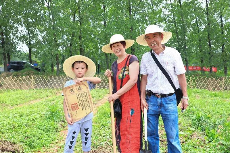 桃蹊街道重塑城市魅力先锋项目启动